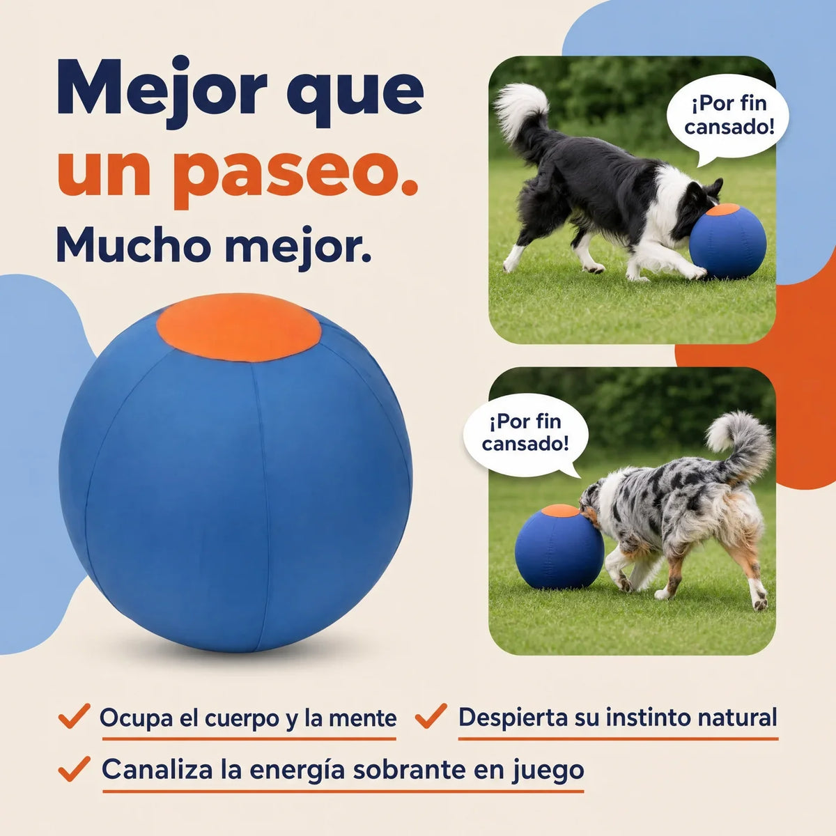 Laftya Pelota Perseguidora para Perros