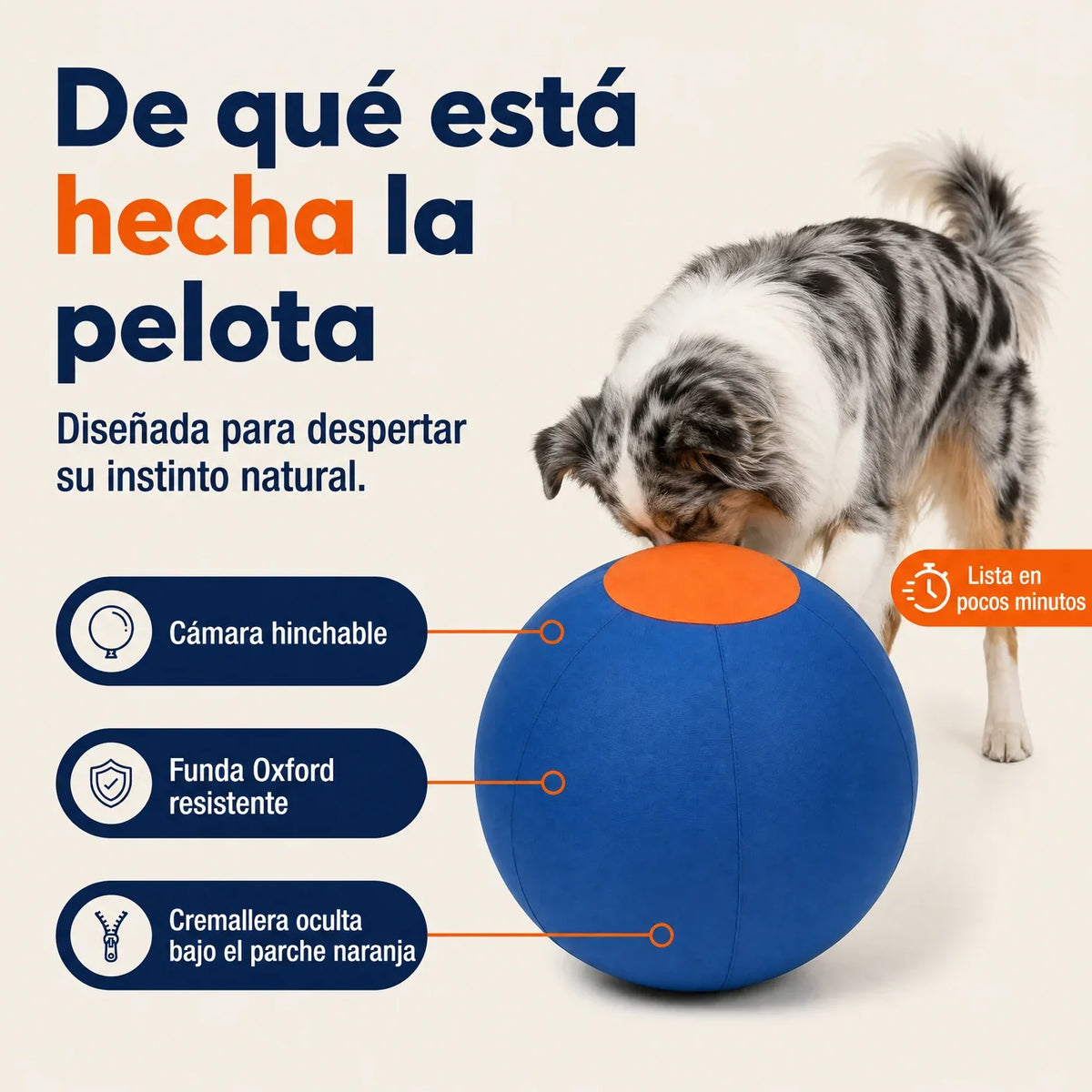 Laftya Pelota Perseguidora para Perros