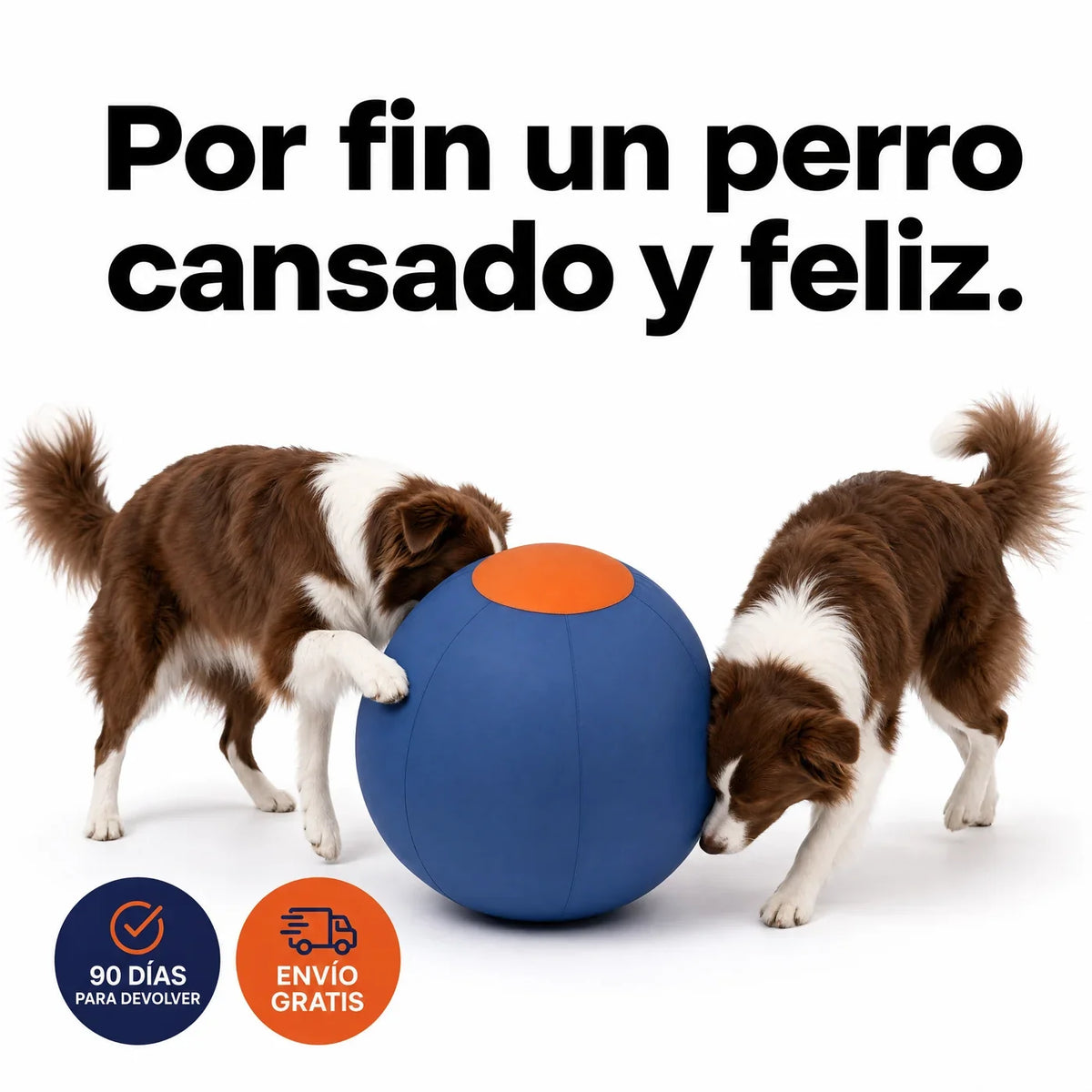 Laftya Pelota Perseguidora para Perros